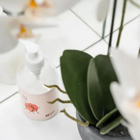 Guestready - Soothing Comfort In 阿威罗